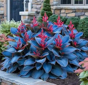 Хоста Грин Фог купить по цене от 669р. в интернет-магазине «Посадика» с доставкой почтой в в Полярныйе и по всей России – [изображение №1].