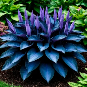 Хоста Сикрет Гров купить по цене от 570р. в интернет-магазине «Посадика» с доставкой почтой в в Полярныйе и по всей России – [изображение №1].