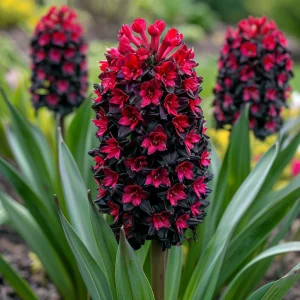 Гиацинт Джем Стоун купить по цене от 2099р. в интернет-магазине «Посадика» с доставкой почтой в в Полярныйе и по всей России – [изображение №1].