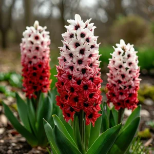 Гиацинт Скай Гарден купить по цене от 2099р. в интернет-магазине «Посадика» с доставкой почтой в в Полярныйе и по всей России – [изображение №1].